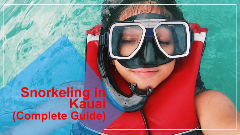 Which Side of Kauai is Best For Snorkeling (Complete Guide)